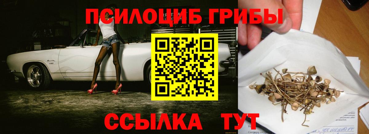 Псилоцибиновые грибы мицелий Армавир